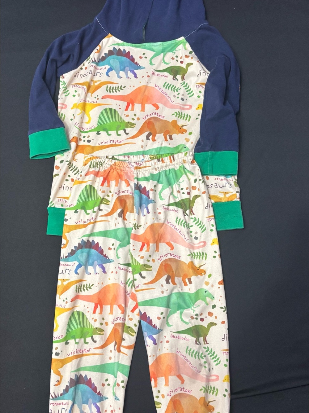 Kids Dinosaur Hooded Set in Navy and Multi-Color